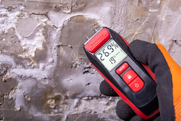 Best Black Mold Removal  in Sauk Vlage, IL