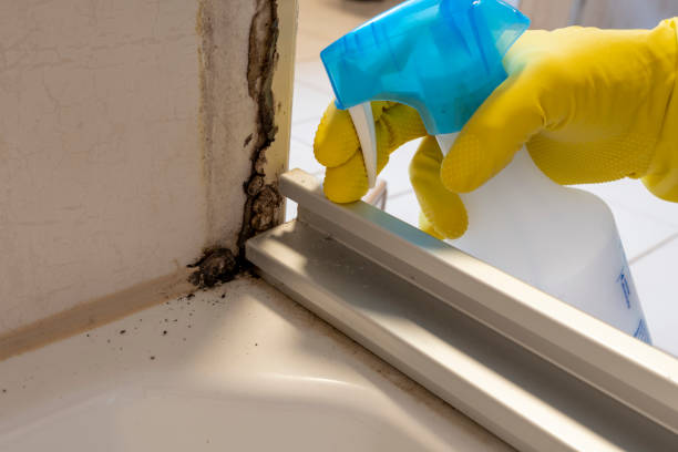 Best Toxic Mold Removal  in Sauk Vlage, IL