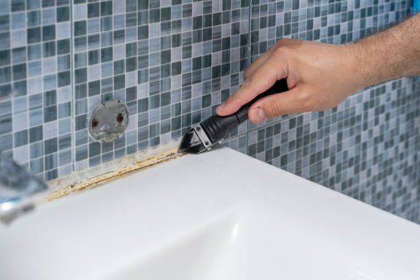 Best Mold Remediation  in Sauk Vlage, IL